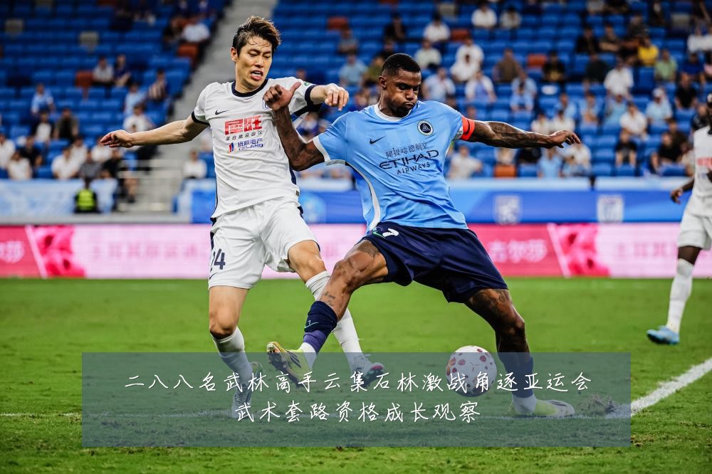 二八八名武林高手云集石林激战角逐亚运会武术套路资格成长观察